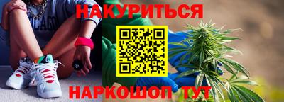 сатива Бийск
