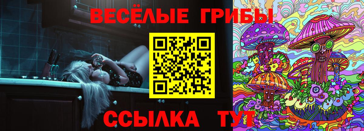 дарнет шоп  Галлюциногенные грибы Magic Shrooms  Вход с VPN  Псилоцибиновые грибы мухоморы  Верхний Уфалей 